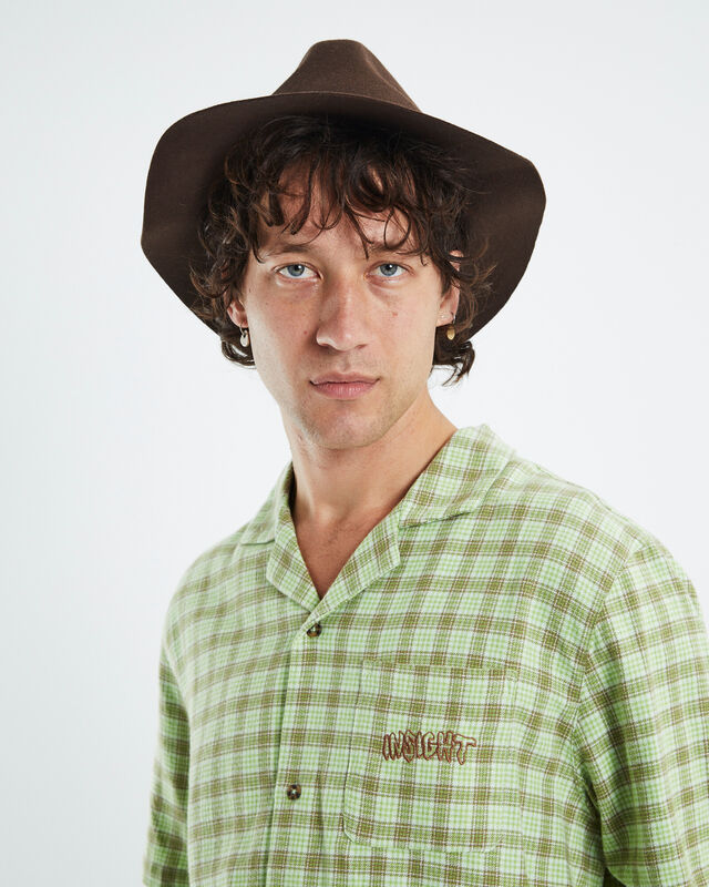 Cape Fedora Brown, hi-res image number null