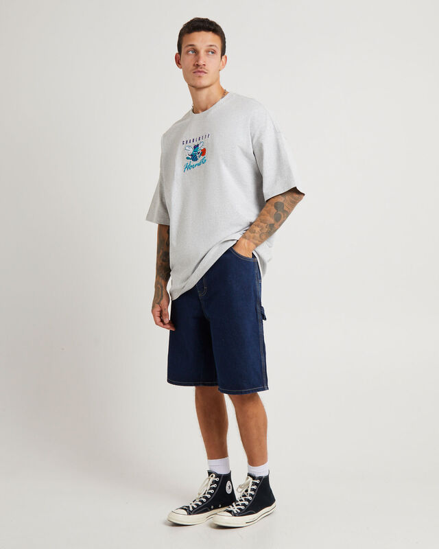 Tri Logo Hornets Oversized T-Shirt in Vintage Grey Marle, hi-res image number null