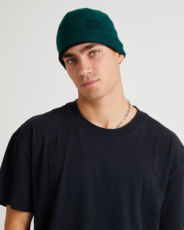 Check Reversible Beanie, hi-res image number null